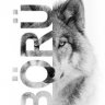 BTGRFK